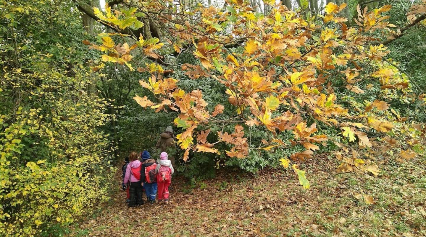 Bambini nel bosco