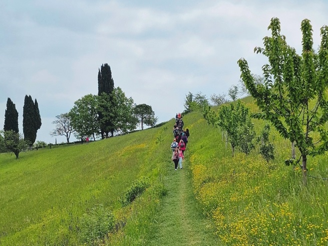 Foto di una passeggiata in collina