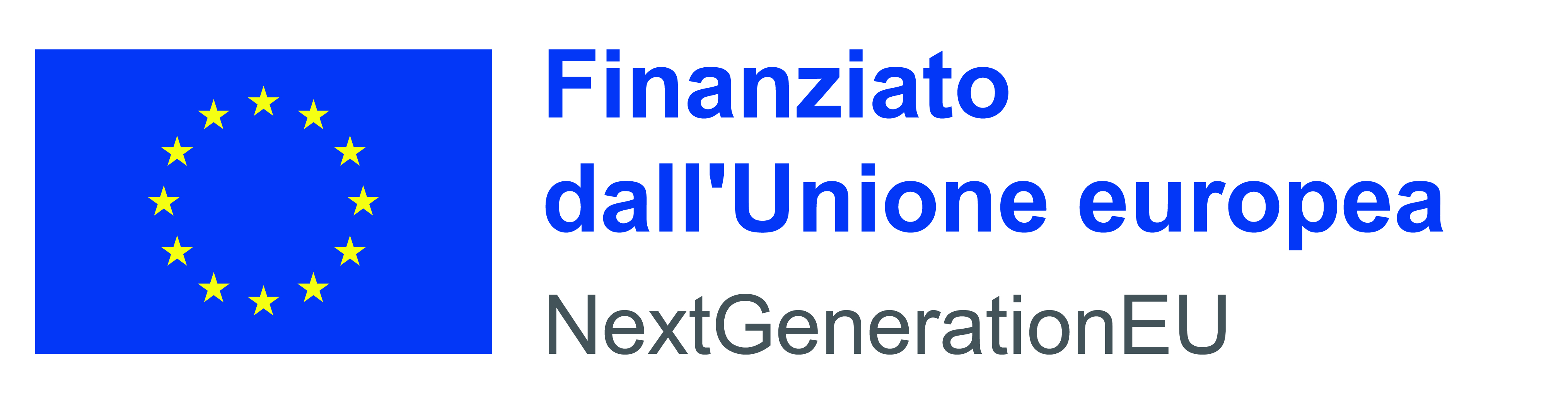 IT Finanziato dallUnione